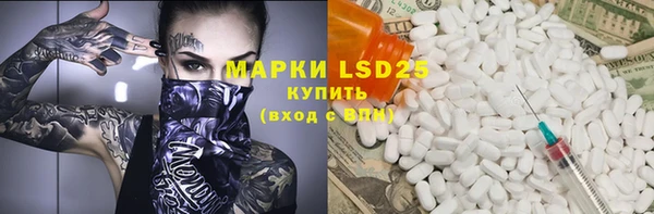 индика Ростов