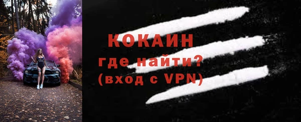 индика Ростов