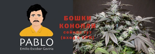 индика Ростов