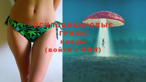 дурь Дмитров