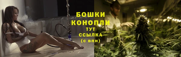 прущие грибы Дмитровск