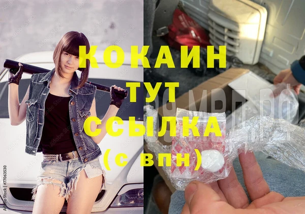 индика Ростов