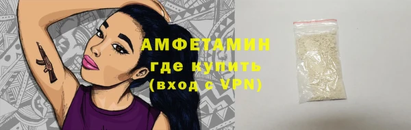 прущие грибы Дмитровск