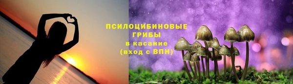 дурь Дмитров