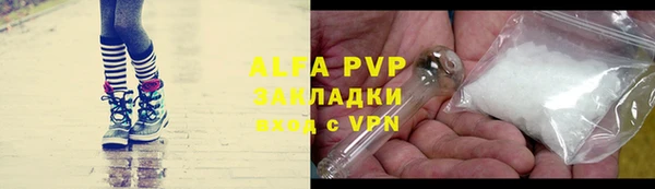 индика Ростов