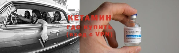 прущие грибы Дмитровск