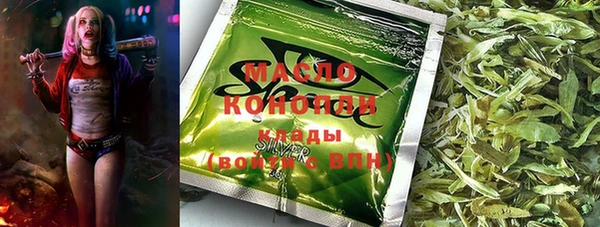 индика Ростов
