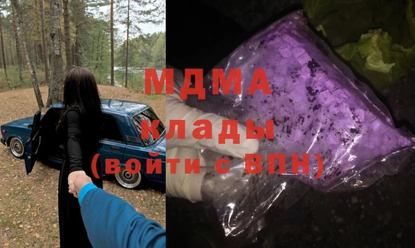 прущие грибы Дмитровск