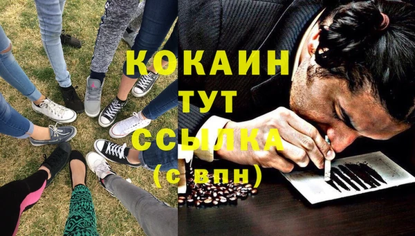 2c-b Дмитриев