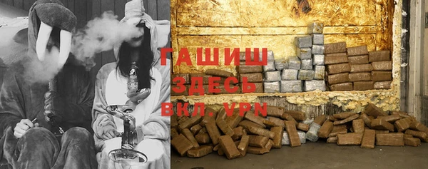 индика Ростов