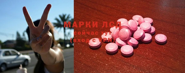 индика Ростов