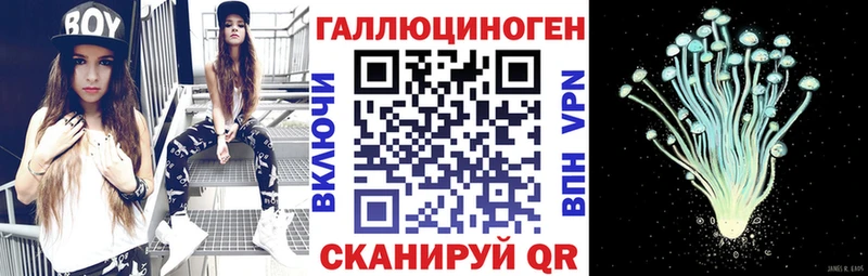 закладка  Дмитровск  Псилоцибиновые грибы ЛСД 